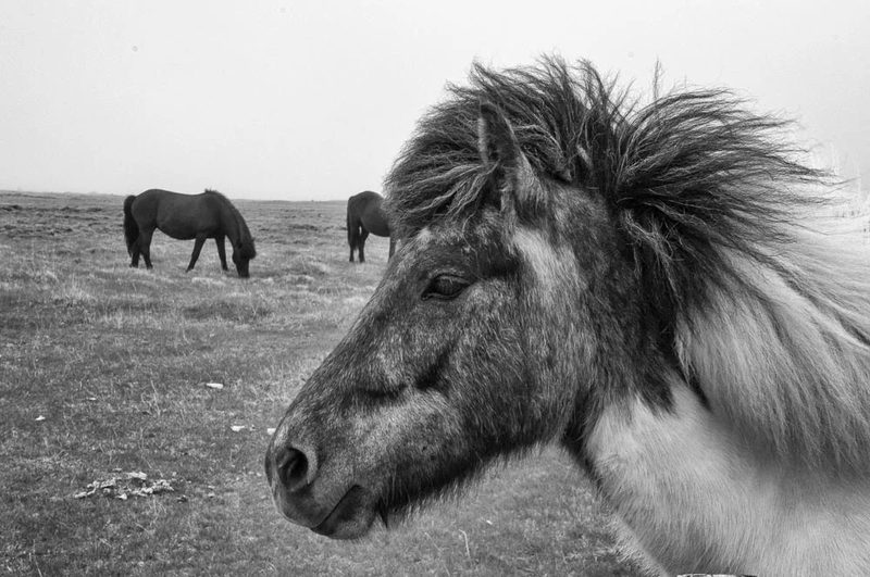 Black and white photograph, frame 9 of 45