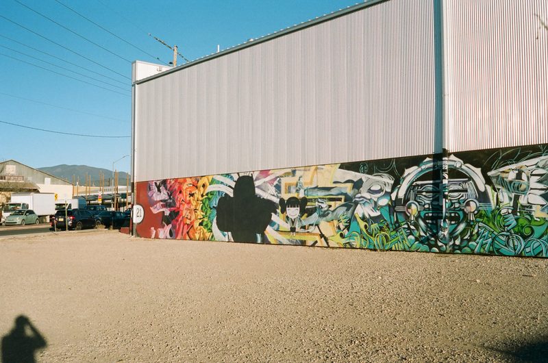35mm film photograph, frame 31 of 39