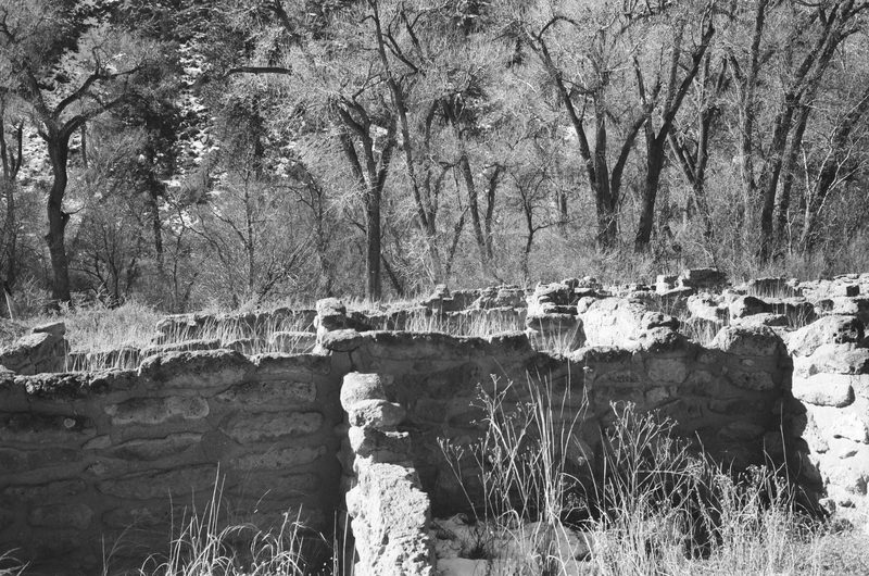 35mm film photograph, frame 4 of 39