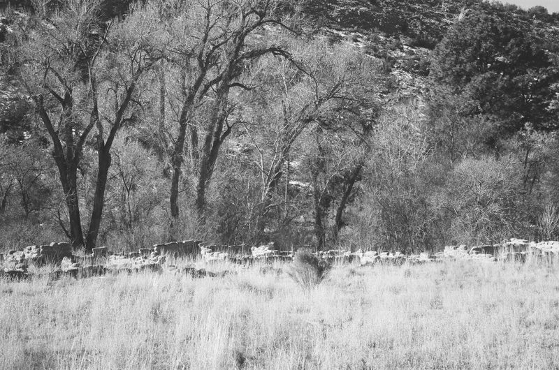 35mm film photograph, frame 6 of 39