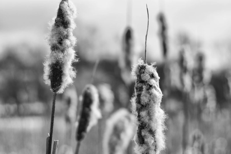 Black and white photograph, frame 23 of 45