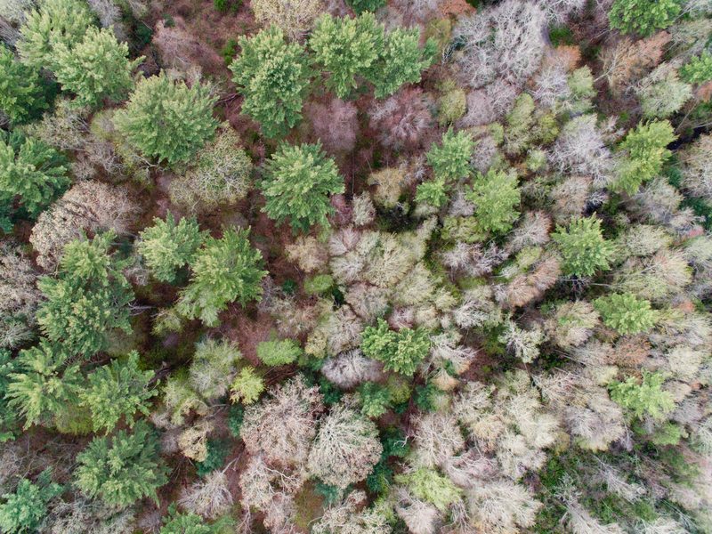 Aerial drone photograph, frame 8 of 57