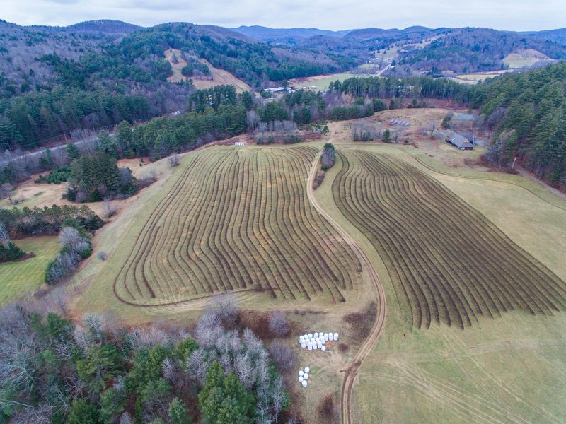 Aerial drone photograph, frame 26 of 57