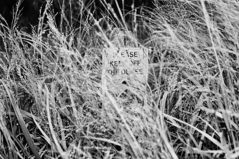 Black and white photograph, frame 27 of 45