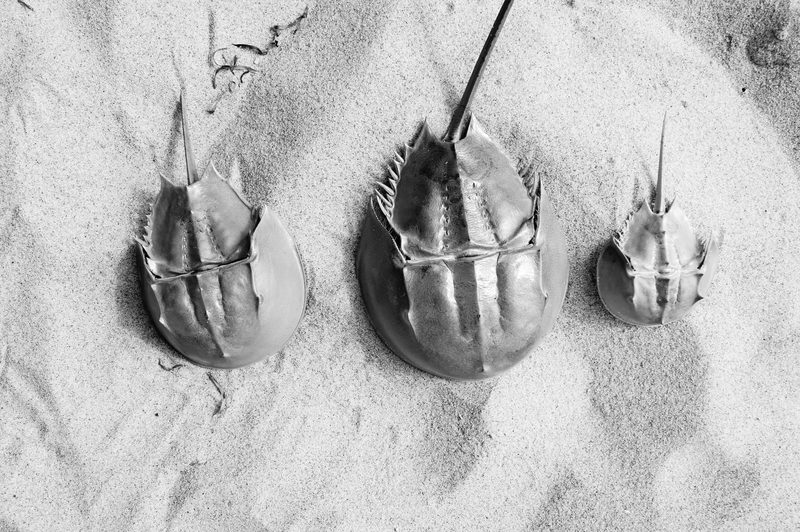 Black and white photograph, frame 21 of 45