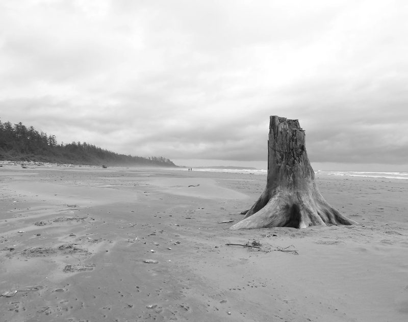 Black and white photograph, frame 28 of 45