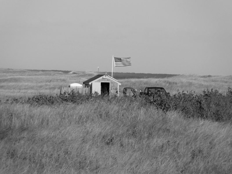 Black and white photograph, frame 36 of 45