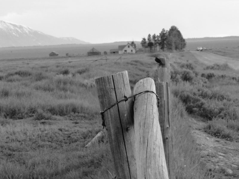 Black and white photograph, frame 43 of 45
