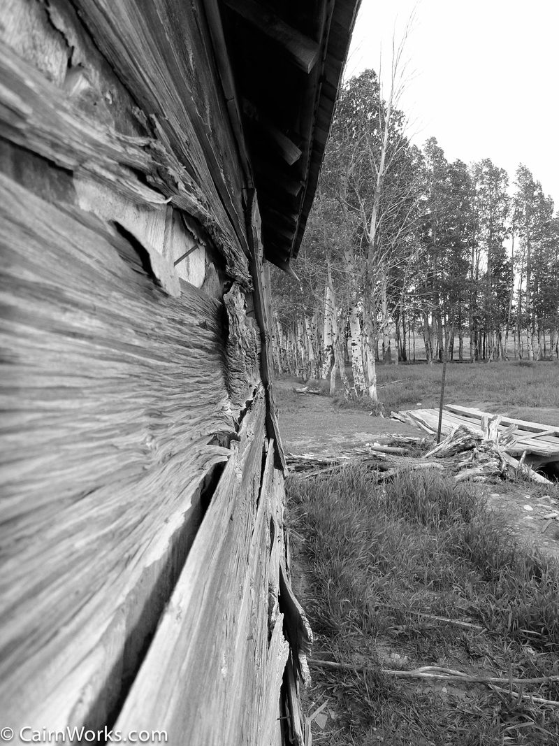 Black and white photograph, frame 19 of 45