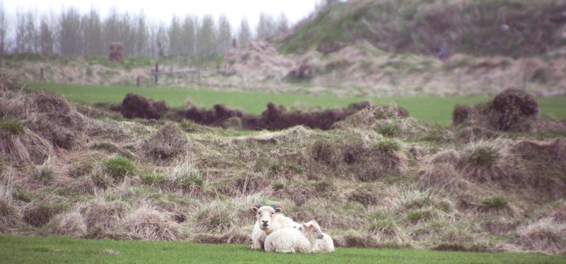 Photograph of Iceland, frame 10 of 76