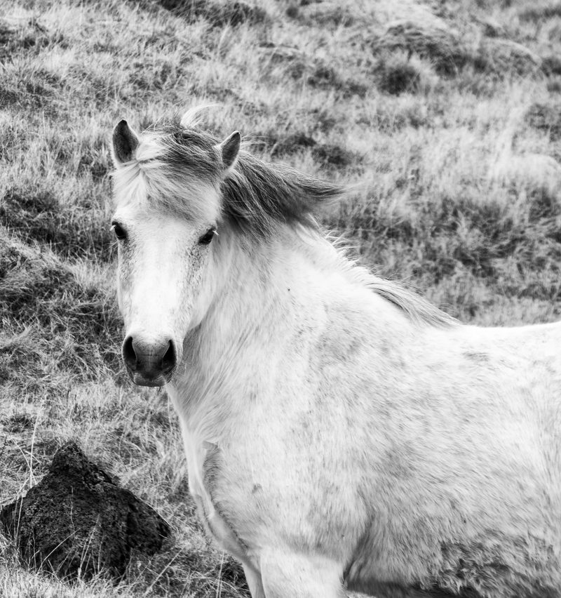 Black and white photograph, frame 14 of 45