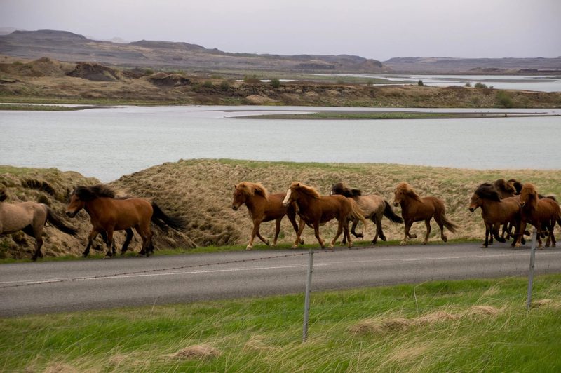 Photograph of Iceland, frame 37 of 76