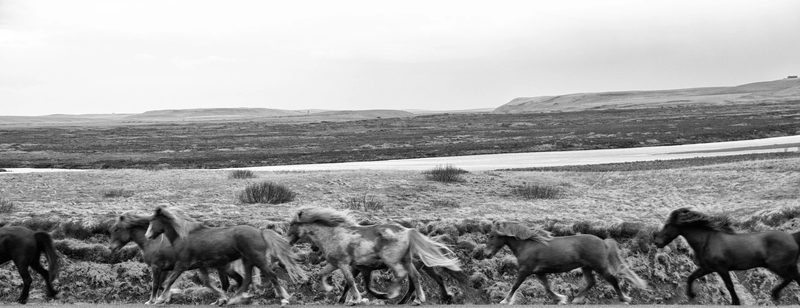 Black and white photograph, frame 37 of 45