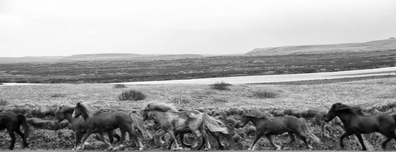 Photograph of Iceland, frame 38 of 76