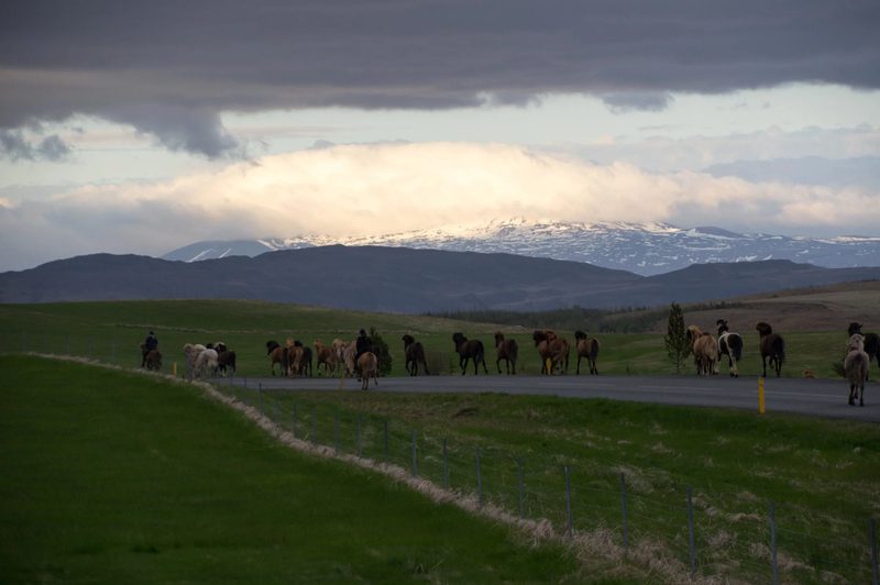Photograph of Iceland, frame 40 of 76