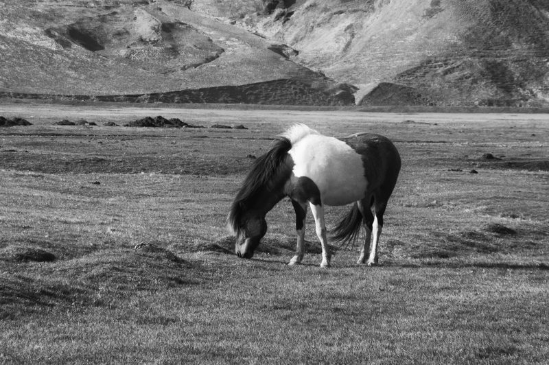 Photograph of Iceland, frame 59 of 76