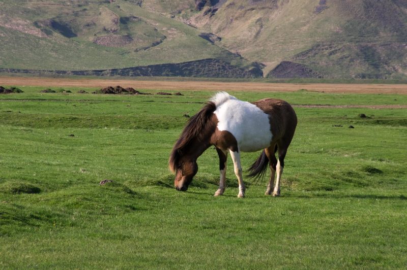 Photograph of Iceland, frame 62 of 76