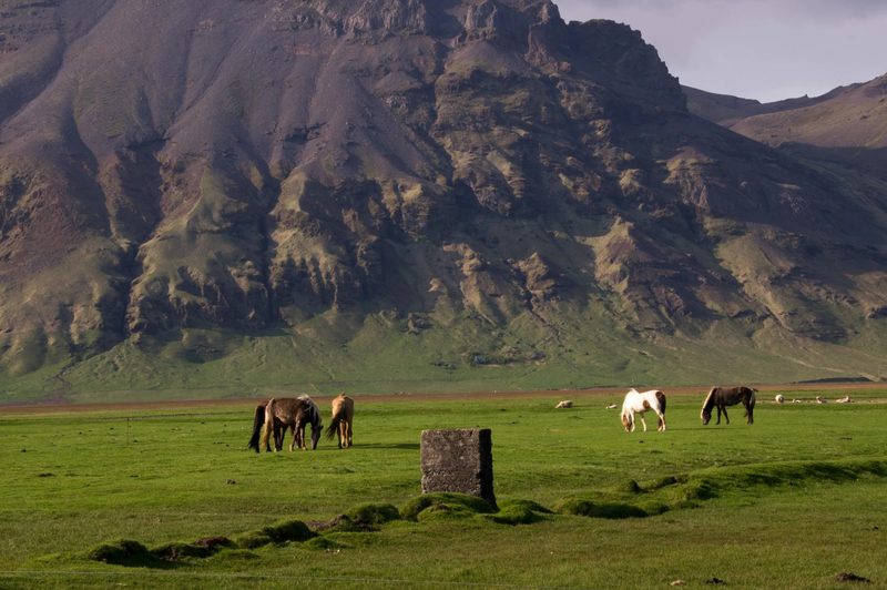 Photograph of Iceland, frame 61 of 76
