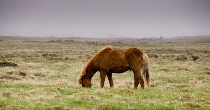 Photograph of Iceland, frame 65 of 76