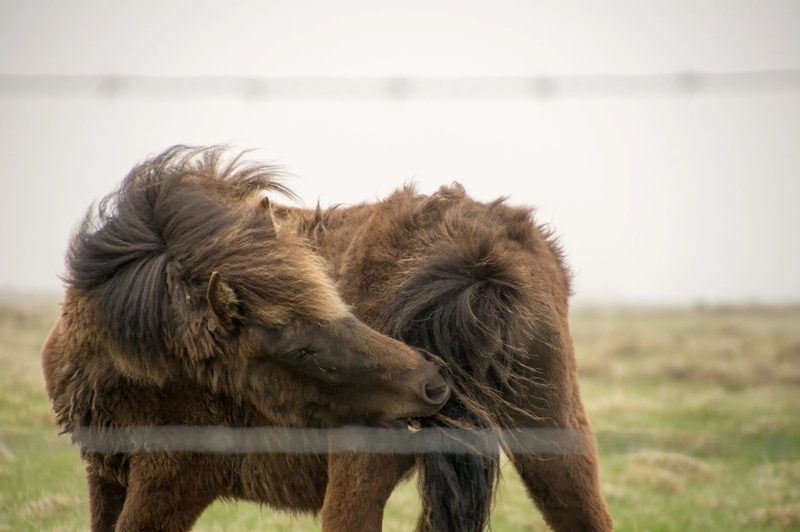 Photograph of Iceland, frame 68 of 76