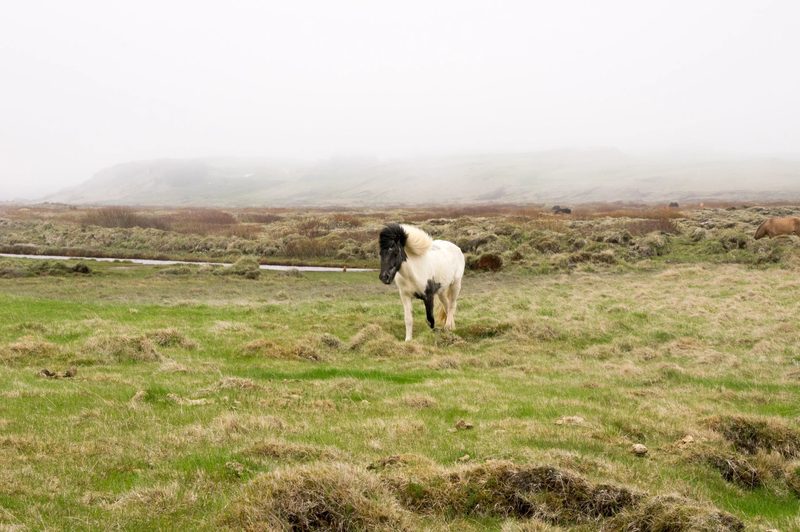 Photograph of Iceland, frame 67 of 76