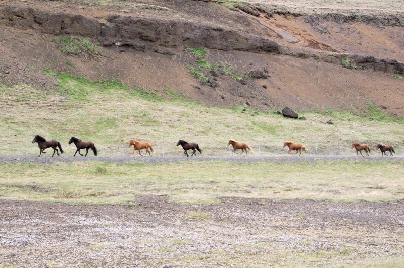 Photograph of Iceland, frame 69 of 76