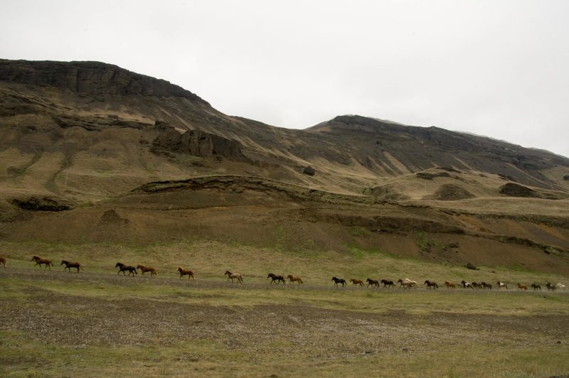 Photograph of Iceland, frame 70 of 76