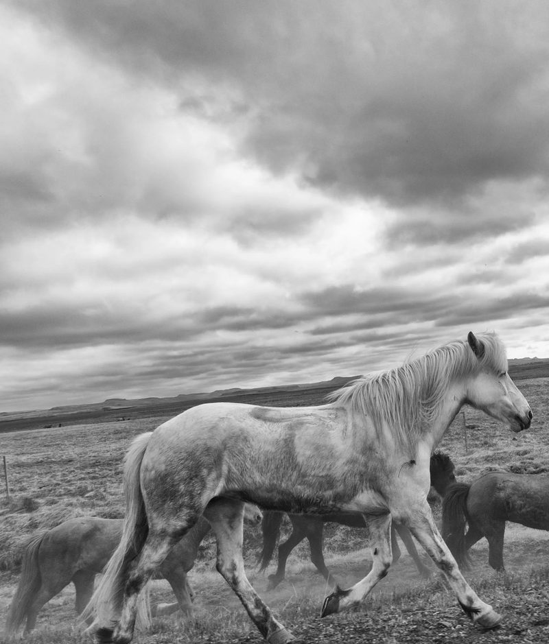 Photograph of Iceland, frame 72 of 76