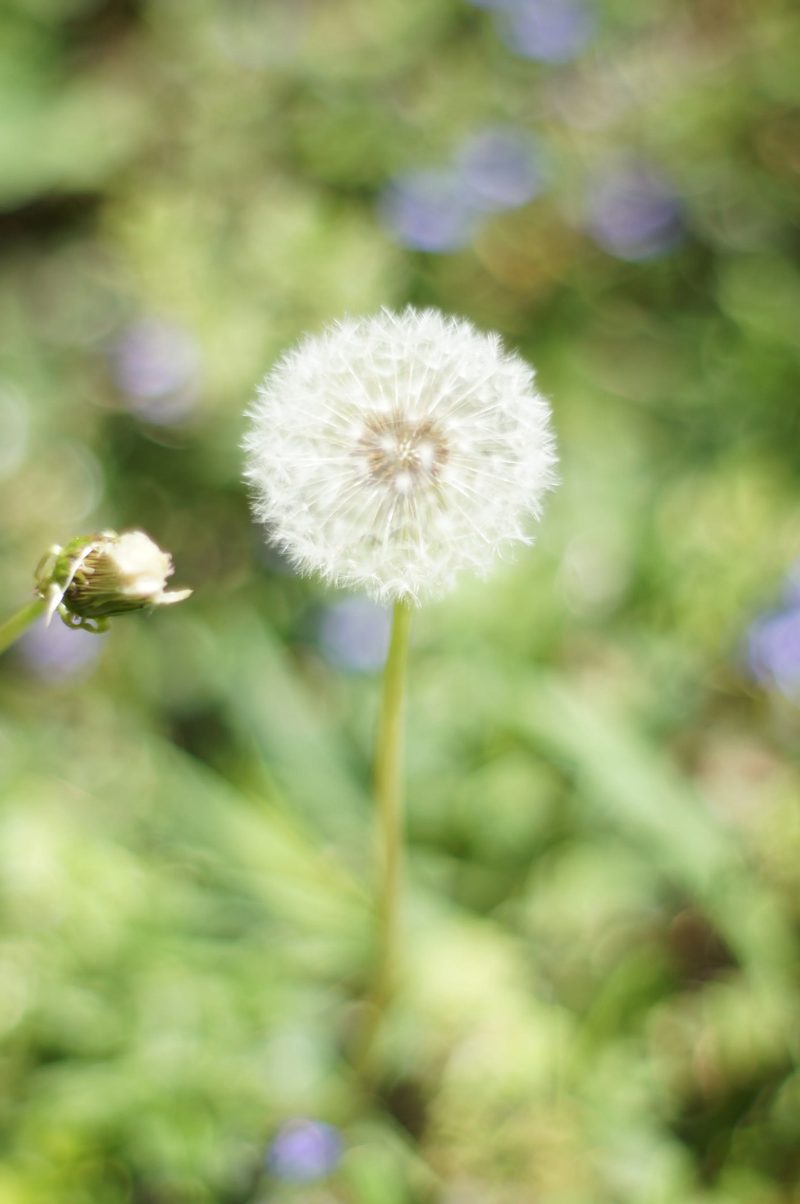 Color photograph, frame 30 of 40