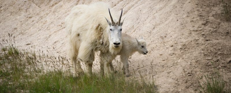 Photograph of Banff National Park, Alberta, frame 5 of 75