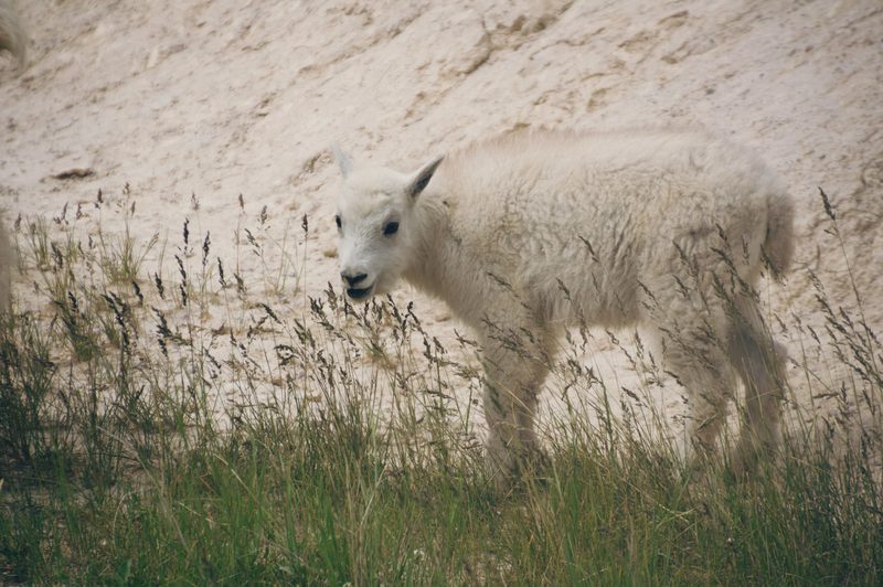 Photograph of Banff National Park, Alberta, frame 8 of 75