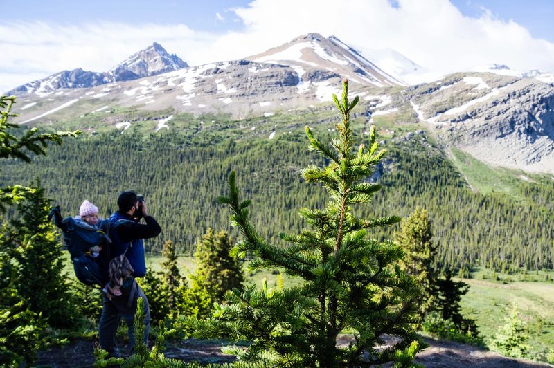 Photograph of Banff National Park, Alberta, frame 10 of 75