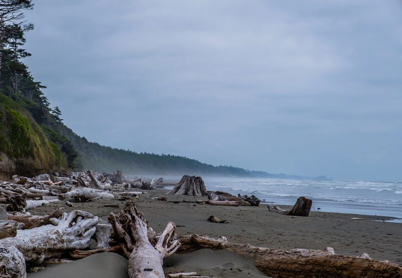 Photograph of the Pacific Northwest