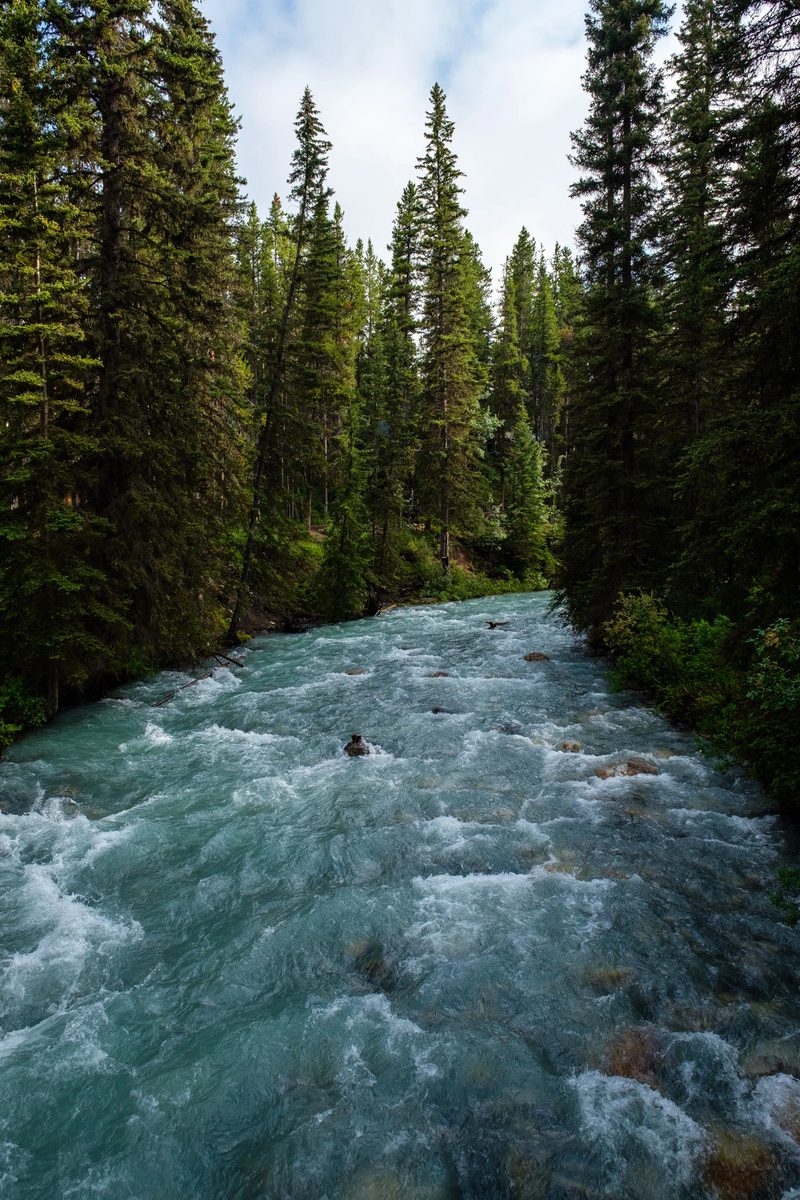 Photograph of Banff National Park, Alberta, frame 21 of 75