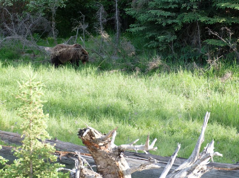 Photograph of Banff National Park, Alberta, frame 34 of 75