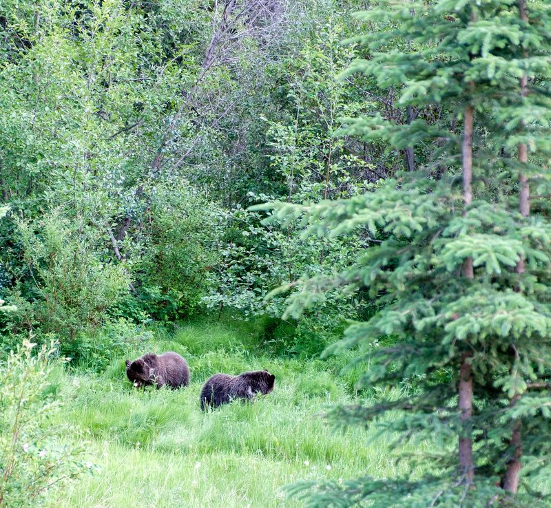 Photograph of Banff National Park, Alberta, frame 36 of 75