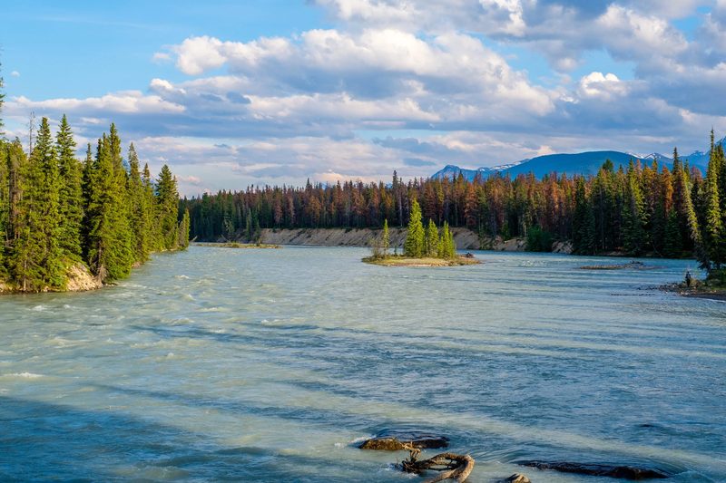 Photograph of Banff National Park, Alberta, frame 39 of 75