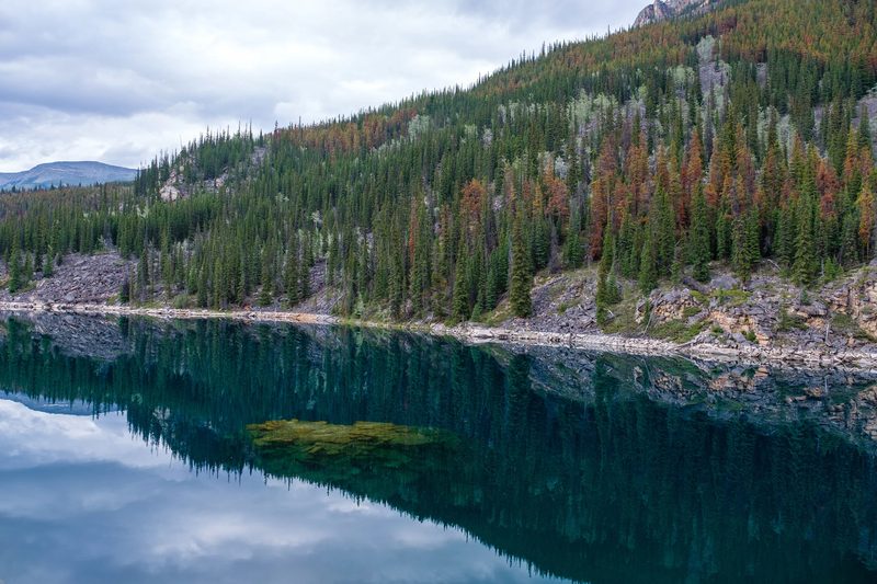 Photograph of Banff National Park, Alberta, frame 69 of 75