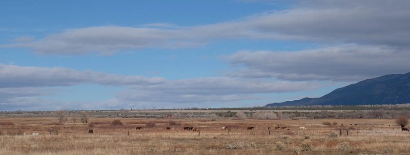 Photograph of New Mexico, frame 7 of 70
