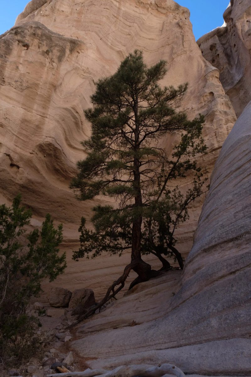Photograph of New Mexico, frame 45 of 70