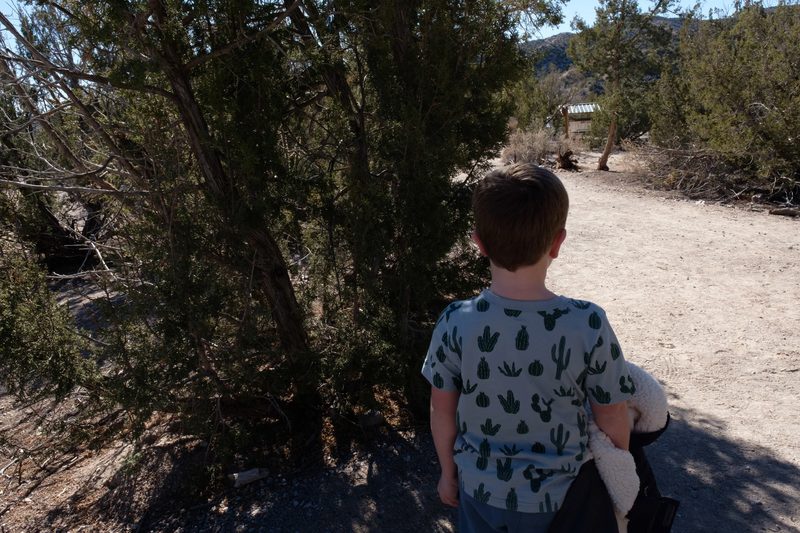 Photograph of New Mexico, frame 49 of 70