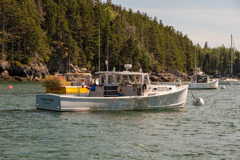 Photograph of coastal Maine, frame 8 of 8