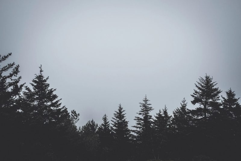 Photograph of coastal Maine, frame 7 of 8