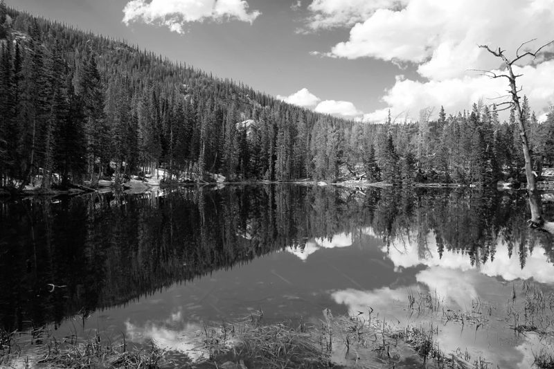 Black and white photograph, frame 3 of 45
