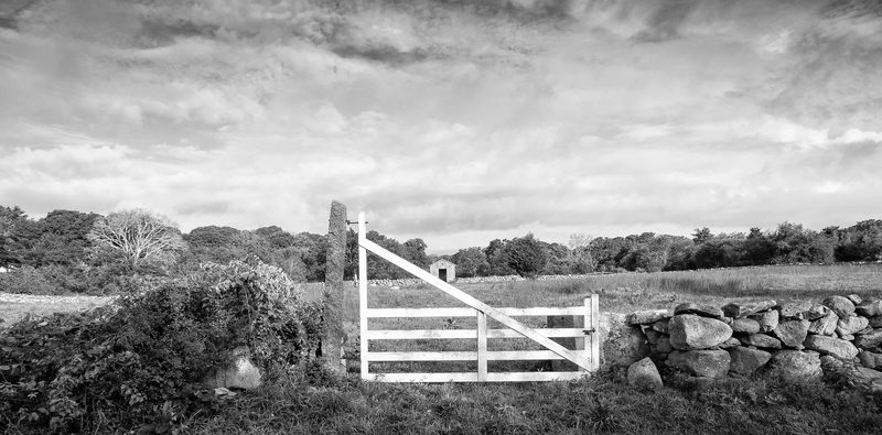 Black and white photograph, frame 6 of 45
